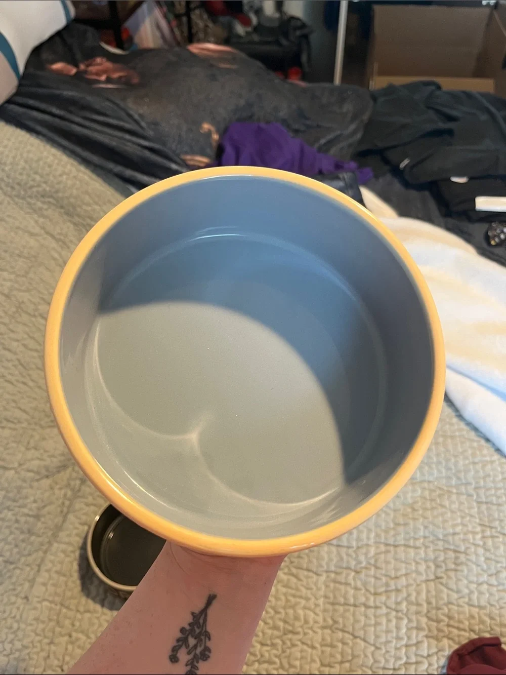 Ceramic Water Dog Bowl in Peach